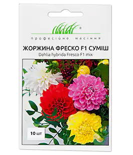 Жоржина Фреска F