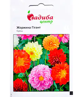 Семена цветов Георгина Гигант смесь
