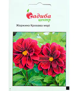 Жоржина Кровава Мері