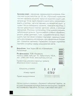Жоржина Кровава Мері