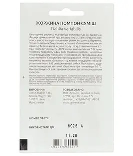 Жоржина Помпон суміш