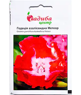 Семена цветов Годеция Метеор