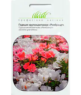 Семена цветов Годеция Рембрант