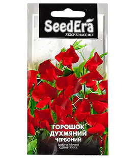Горошок запашний Червоний