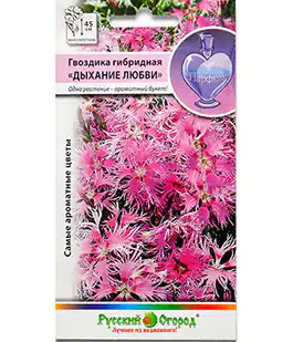 Семена цветов Гвоздика Дыхание любви
