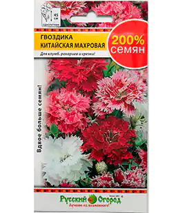 Семена цветов Гвоздика Китайская махровая