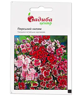 Семена цветов Гвоздика Перський килим