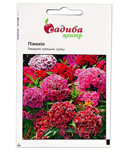 Семена цветов Гвоздика Пиннокио