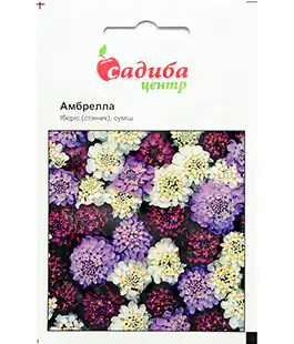 Семена цветов Иберис смесь