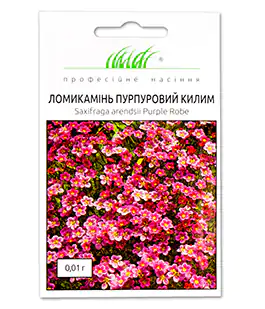 Камнеломка Пурпурний килим