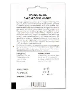 Камнеломка Пурпурний килим