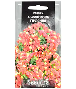 Семена цветов Кермек Абрикосовая Гирлянда