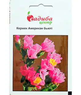 Семена цветов Кермек Американ бьюти