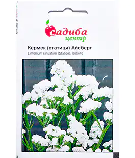 Семена цветов Кермек Айсберг