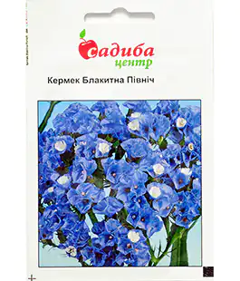 Семена цветов Кермек Голубой Север