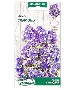 Семена цветов Кермек Симфония