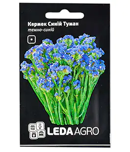 Семена цветов Кермек Синий туман