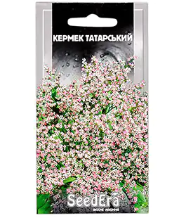 Семена цветов Кермек Татарский