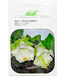 Семена цветов Кобея Белые Паруса