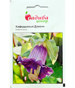 Семена цветов Кобея Кафедральные Колокола