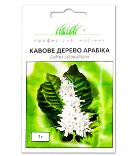 Кавове дерево Арабіка