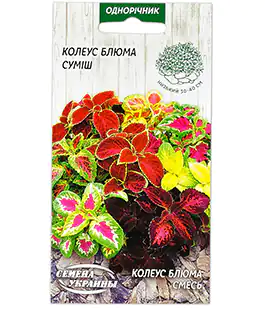 Насіння квітів Колеус Блюма суміш