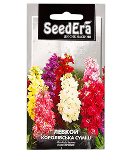Семена цветов Левкой Королевская смесь