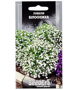 Лобелия Белоснежка