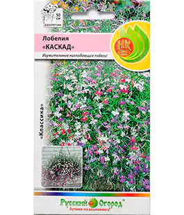 Семена цветов Лобелия Каскад