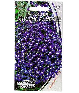 Семена цветов Лобелия Миссис Клибран
