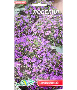Семена цветов Лобелия низкорослая