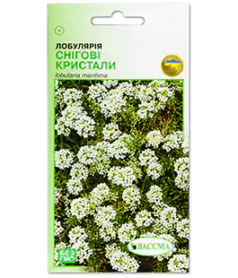 Лобулярия Снежные Кристаллы