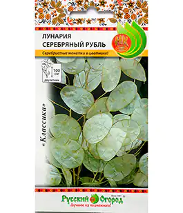 Семена цветов Лунария Серебряный Рубль