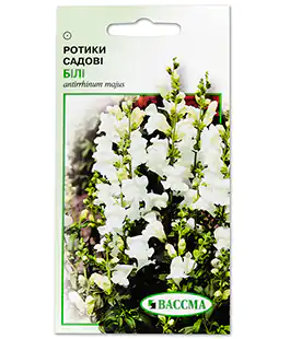 Семена цветов Львиный Зев Белый
