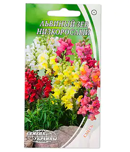 Семена цветов Львиный зев Низкорослый