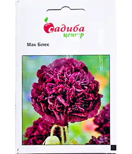 Изображение Семена цветов Мак Блек