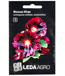 Мальва Нігра