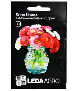 Изображение Семена цветов Маргаритка Супер Енорма