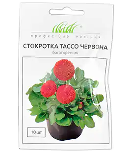 Насіння квітів Маргаритка Тассо