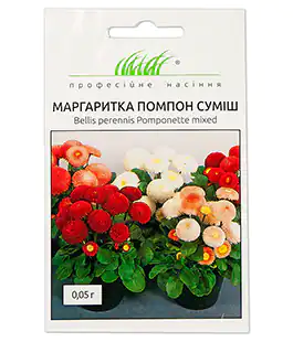 Изображение Семена цветов Маргаритка помпон смесь