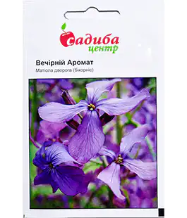 Изображение Семена цветов Матиола Вечерний аромат