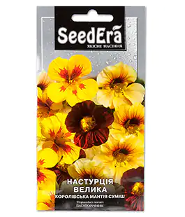 Настурція Королівська мантія