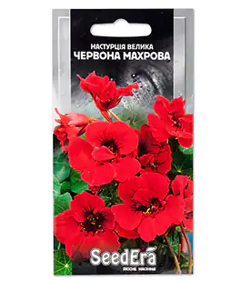 Настурция Красная