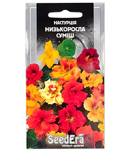 Настурция Низкорослая смесь