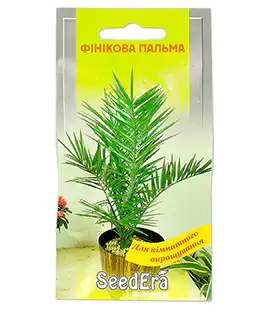 Пальма Фінікова