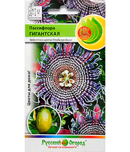 Изображение Семена цветов Пассифлора Гигантская
