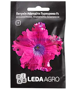 Петунія Афродіта пурпурна