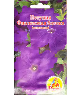 Изображение Семена цветов Петуния Фиолетовая богема