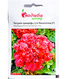 Изображение Семена цветов Петуния грандифлора Валентина F1