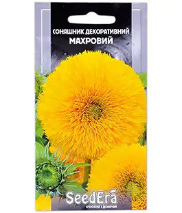 Подсолнух декоративный махровый